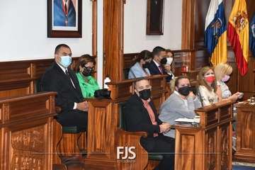 Lara Collado retrata en el Pleno de Telde la realidad de la lacra machista/Francisco Javier Santana: